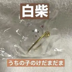 うちの子のけだまだま　白柴