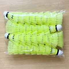 Item thumbnail for item 8a1cc7f3-3f45-4bae-ba3f-c8b6d5f759b1