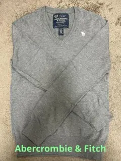 Abercrombie & Fitch Vネックニット