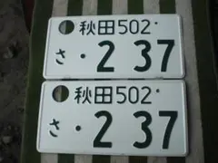 観賞用 普通車 ナンバープレート つくばナンバー 1枚 - メルカリ