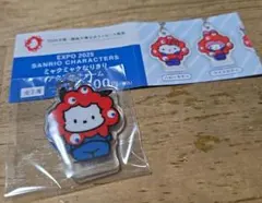 サンリオキャラクターズ「ミャクミャクなりきりアクリルチャーム」ポチャッコ