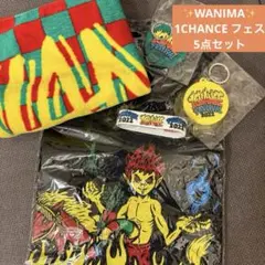 【5点セット】WANIMA Tシャツ、タオル、ラババン、キーホルダー