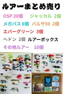 サーフ シーバス ルアー 大量 67本 メガバス ジャクソンDUOダイワ