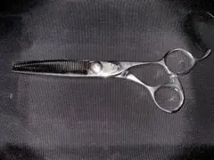 2025年最新】セニングシザー ネットワークの人気アイテム - メルカリ