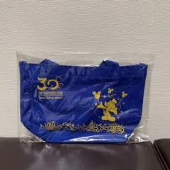 東京ディズニーリゾート 30周年 トートバッグ