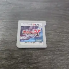 ポケットモンスターY