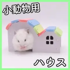 O50【新品】ハムスター 小動物 ハウス 家 おもちゃ はしご おうち 巣箱のサムネイル