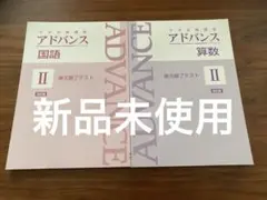 アドバンス国語 III & 検査 I セット 中学受験講座アドバンス シリーズ | 育伸社