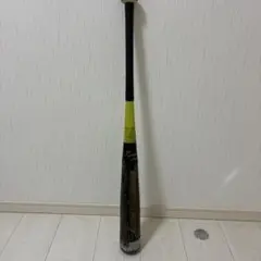 Item thumbnail for item 6484965a-858e-40c3-be57-b1aa265053e0