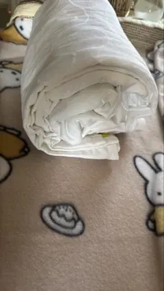 Item thumbnail for item c4759191-db97-4749-bacb-b4d397d86864