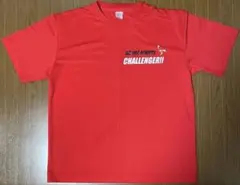 Item thumbnail for item aa736c98-ae67-42c7-8b57-ee4f0cf37e43