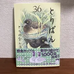とりぱん　36