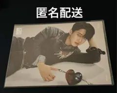 straykids スキズ チャンビン maxident 封入 ミニポスター