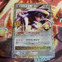 ガブリアスC[チャンピオン] 対戦スターターパックSP ガブリアスVS