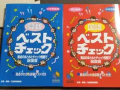 【書き込みナシ】 ベストチェック 中学受験用 国語・算数 日能研　計2冊