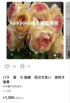 kaikyoko様ご確認専用ページ