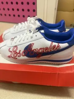 Item thumbnail for item 6b6d8f8c-d5c6-4c4f-bd16-a01e33a21b9e