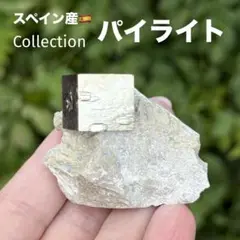 パイライト 黄鉄鉱 邪気祓い 鉱物標本 コレクション MY769