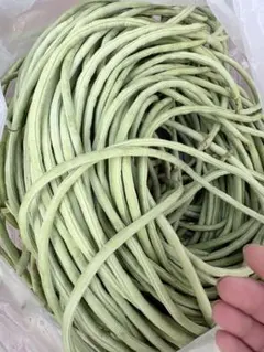 MAY様専用ページ