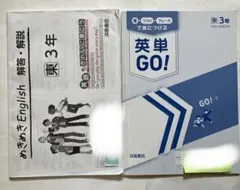 Item thumbnail for item 3911713e-1588-4407-8fe6-6b08690190a8