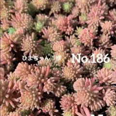 ひまちゃん♡様 リクエスト 3点 まとめ商品