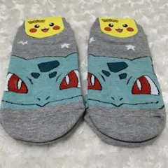ポケモン靴下　フシギダネ