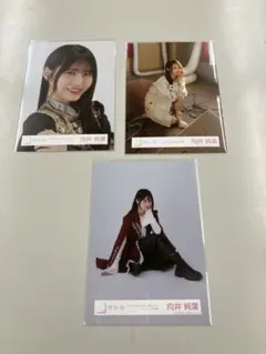 櫻坂46向井純葉まとめ売り