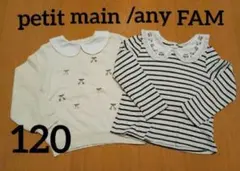 【２枚セット】any FAM /petit main 120 さくらんぼ 襟付き