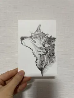 2025年最新】狼ペン画の人気アイテム - メルカリ