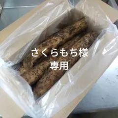 さくらもち様専用