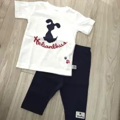 ヘリアンタス　半袖Tシャツ　ズボンのサムネイル