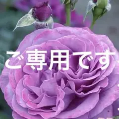 ゆみ様 リクエスト 5点 まとめ商品