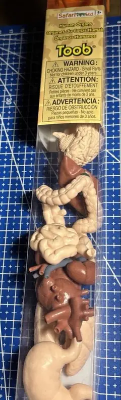 Item thumbnail for item 7d1668fa-ae4c-46cf-bec4-a61846f72a02