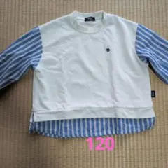 POLO 長袖カットソー 120