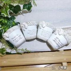 リメ鉢 リメイク鉢 3.5号鉢 4点セット 多肉植物 植木鉢