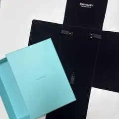 現行品Tiffanyティファニー ハードウェアネックレスケース セット