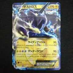 ポケモンカード　BW8　ボルトロスEX　プラズマ団　ライデンナックル
