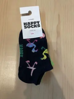 HAPPY SOCKS 2足セット 2-3歳
