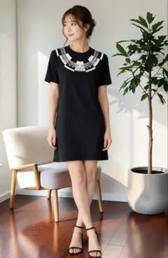 美品】エルメス プリントTシャツ Tresor de Medor 36 - メルカリ