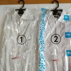 Item thumbnail for item 05723d4f-c6dc-41ef-98aa-e8b686829615