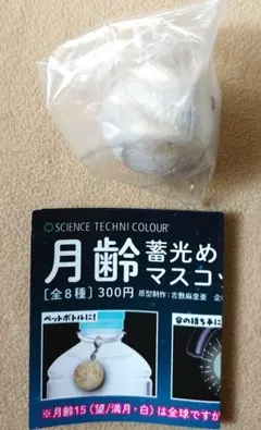 匿名配送 月齢 蓄光めじるしマスコット 全球 満月 白