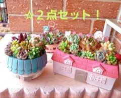 ❤️専用❤️多肉植物❤️そのまま飾れる寄せ植え❤️ハートうさぎ