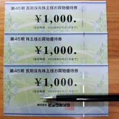 ビックカメラ　株主優待券　3000円分