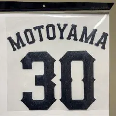 2026年最新】元山飛優 ユニフォームの人気アイテム - メルカリ