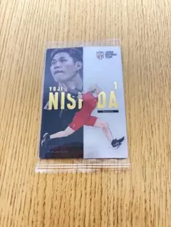 バレーボール 男子日本代表 西田有志　ハイキュー　ウエハース