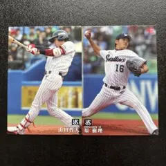 プロ野球チップス2016 第2弾レギュラーカード東京ヤクルトスワローズまとめ売り