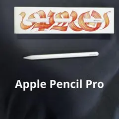 は*ん様 Apple Pencil Pro