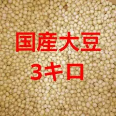 国産大豆３キロ　味噌　煮豆　豆腐　豆乳作り　豆乳　納豆　ソイリッチにどうぞのサムネイル