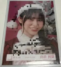 櫻坂46 藤吉夏鈴 2025年サンタ衣装 直筆サイン入り生写真 - メルカリ