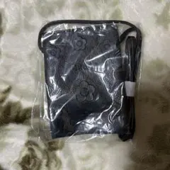 Item thumbnail for item 8cf25acc-e333-4afe-82ec-ad47b999c8c2